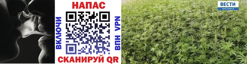 Купить наркотики цена Йошкар-Ола omg Меф Гашиш A-PVP Галлюциногенные грибы Каннабис Кокаин