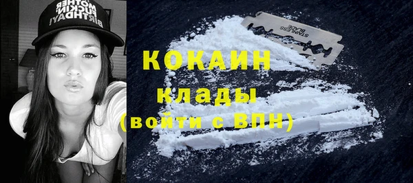 молекула духа Арсеньев