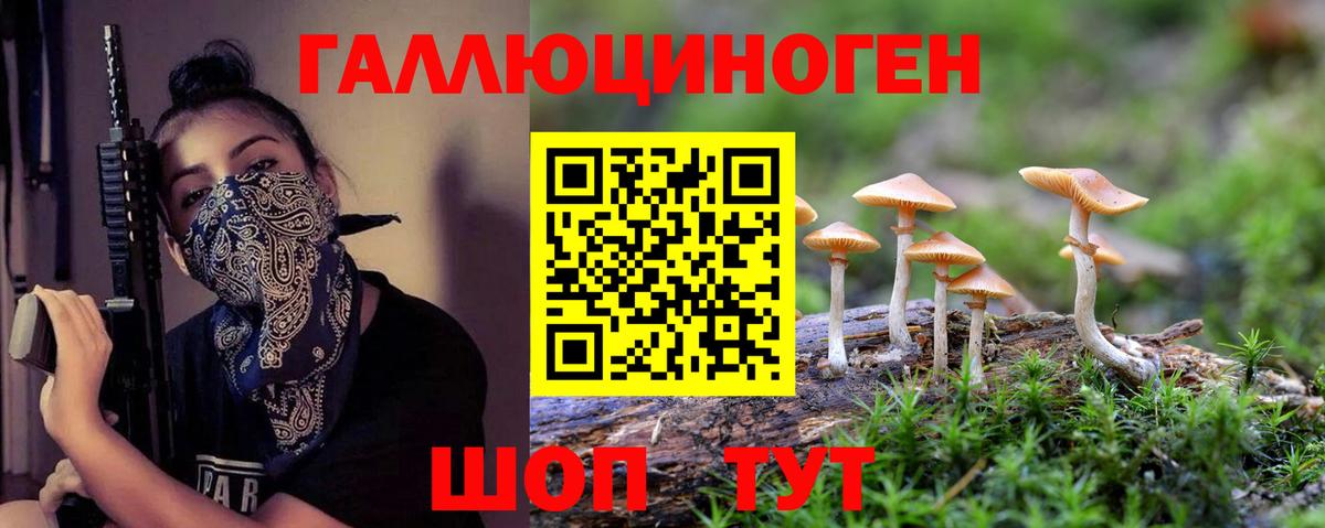 Галлюциногенные грибы Cubensis Йошкар-Ола